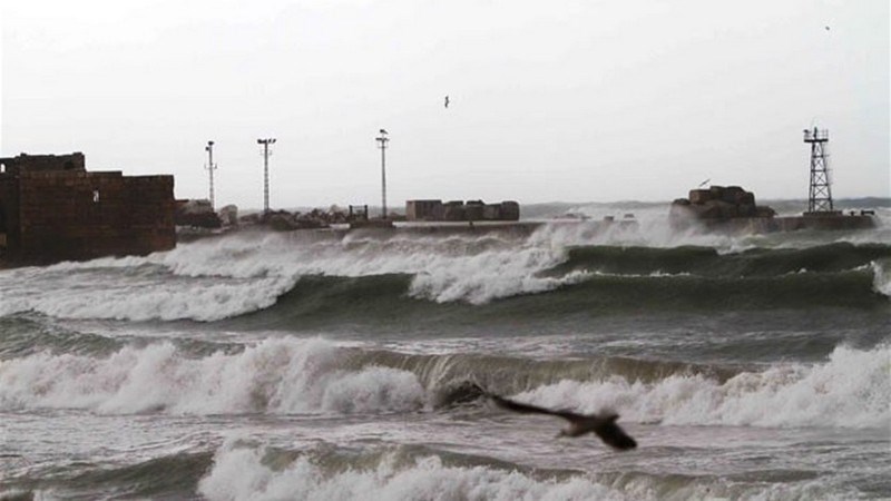 سيول في بلدة الفاكهة مصدرها السلسلة الشرقية